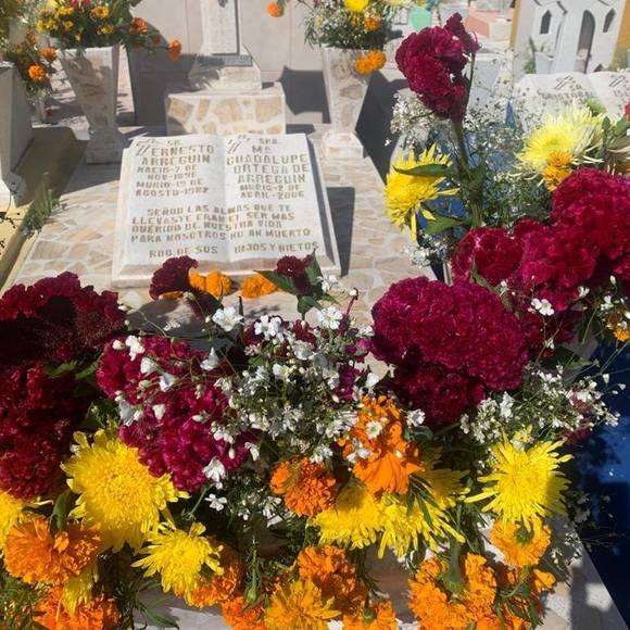 Meet your Posher, Carlos - Picture 1 of 1